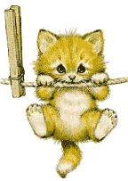 Katze_an_Leine