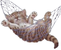 Katze_in_Matte